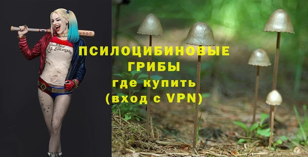 ALPHA PVP Алексин